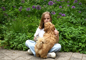Little Girl in City Park Walking Playing with her Havanese  Bichon-type Dog Seasonal Summer Time