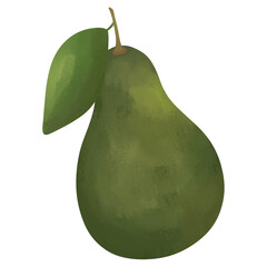 Avocado With Leaves Illustration
