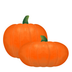 Pumpkin Illustrations