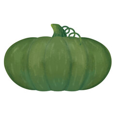 Green Pumpkin Illustration