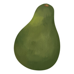 Avocado Illustration