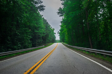 On a backroad, every curve is an invitation to slow down, Sautee Nacoochee, Georgia, United States of America