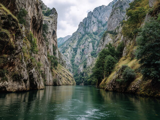 River gorge with steep cliffs in Montenegro