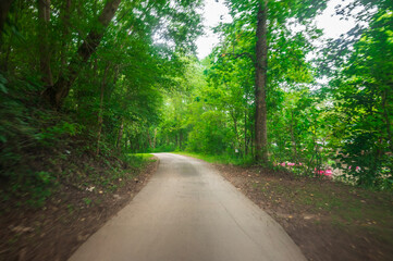 Fototapeta premium A gravel road in Helen is less about the destination and more about the slowing down, Helen, Georgia, United States of America