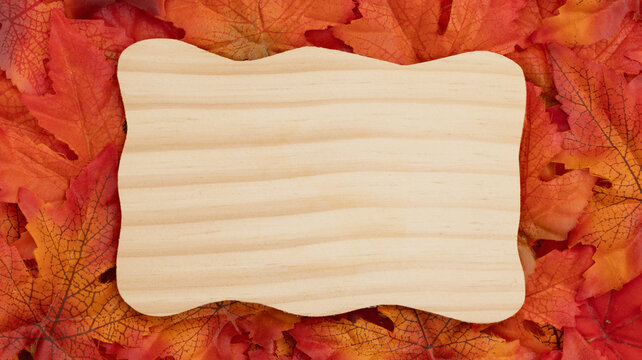 Blank wood sign with fall leaves for autumn season themes