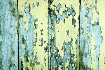 Weathered Painted Wood Planks with Chipping and Peeling Paint