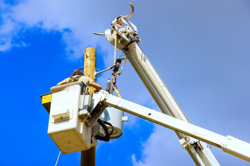 Fototapeta premium Electrical technician is expertly working on utility pole, repairing electrician lines while suspended in bucket truck.