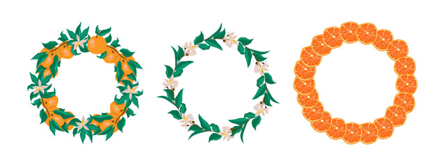 Orange fruit wreaths and floral round decorative frames