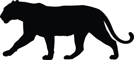 Silhouette of a majestic black panther walking with powerful grace vector © Mohim