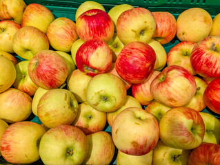 Fresh mixed apples displaying vibrant red yellow and green colors in abundant harvest arrangement at local market. high quality photograph
