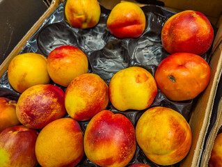 Assorted citrus fruits and stone fruits arranged on black surface creating striking color contrast in market display. high quality photograph