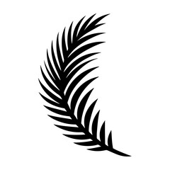 Obraz premium Black and white vector silhouette of a Palm leaf on a white background