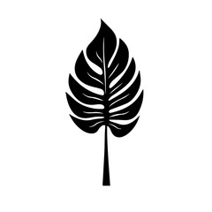 Black and white vector silhouette of a Palm leaf on a white background