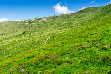 Obraz premium HGiking Through the Hirzer Alm South Tyrol
