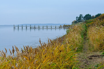 A tranquil ocean scene features a wooden pier extending into the water, bordered by golden grass and gentle waves in the early morning light.