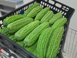 Bitter Gourd vegetables food. Healthy exotic raw vegetable bitter gourd. Medicinal ingredient raw vegetable bitter gourd