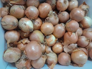 Onion culinary raw vegetables food. Delicious ingredient as seasoning mix in recipe. 