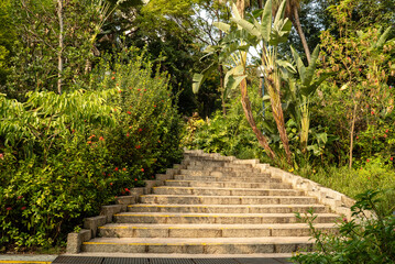 stairway to the garden