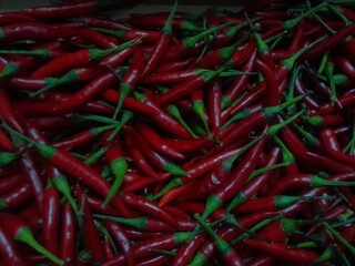 Red chilli pepper culinary raw vegetable seasoning chilli pepper. Healthy hot spice vegetable.