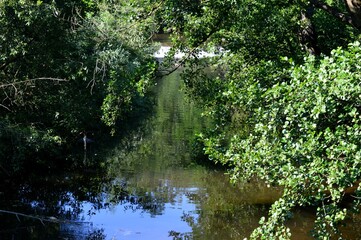 the reflection of the trees in the river