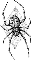 Obraz premium Stippling dotwork spider illustration with vintage halftone effect for tattoo design