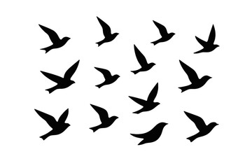 Bird Flock Illustration | Group of Flying Birds Silhouette Vector