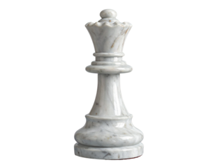 Black and white chess pieces with black queen on board