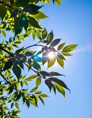 Obraz premium Sunlight streams through a canopy of leaves, creating a dappled effect on the bright blue sky, tranquil, dappled