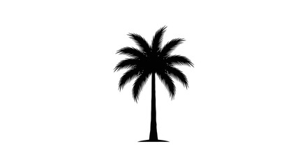 Fototapeta premium download this striking transparent background palm tree silhouette perfect for websites logos and tropical designs highresolution isolated png for seamless integration into your projects
