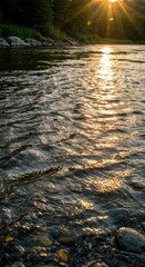 Sunlit river shallows