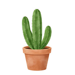 Minimal flat illustration of a small cactus in terracotta pot isolated on white background no shadow