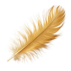 Fototapeta premium Golden feather isolated on transparent background
