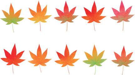 秋　カラフルなカエデのイラスト