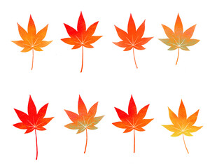 秋　カラフルなカエデのイラスト