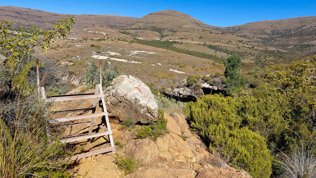 Ladder, used to cross a fence, on the Clarens. Mountain Trail