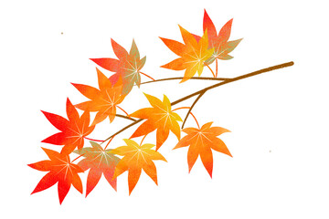 秋　色とりどりのモミジの枝　カラフル