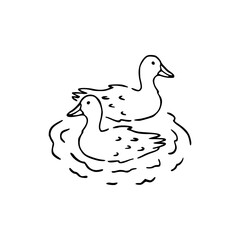 ducks swimming on water line art