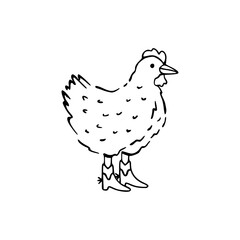 funny chicken wearing boots line art