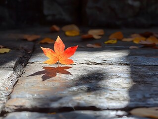 Obraz premium Autumn leaf gently reflected on a wooden surface