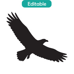 Soaring Eagle Silhouette Vector, Flying Bird Icon, Bald Eagle Outline Design, Wildlife Bird Silhouette Illustration
