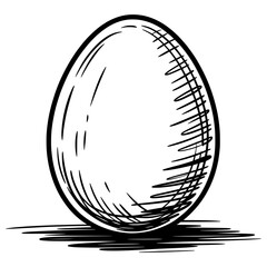 Hand drawn sketch illustration of egg in black and white vector style