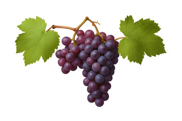 Fototapeta premium Bunch of ripe purple grapes with fresh green leaves isolated on white background symbolizing healthy fruit nutrition and freshness