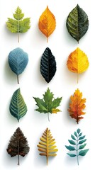 Obraz premium Colorful collection of leaves showcasing autumn shades and textures for nature lovers