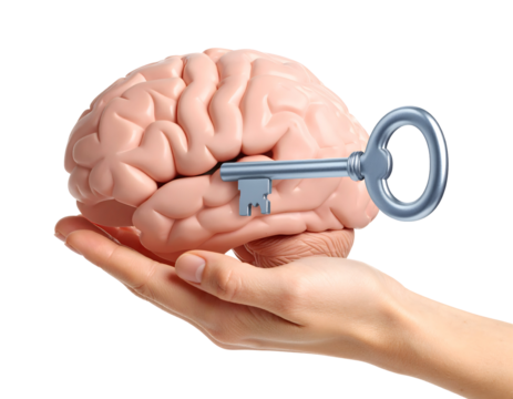 A human hand gently cradles a brain model with an antique key unlocking its potential, symbolizing knowledge and thought.
