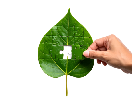 Hand placing the final piece of a green leaf puzzle, representing nature's integrity and sustainable solutions.