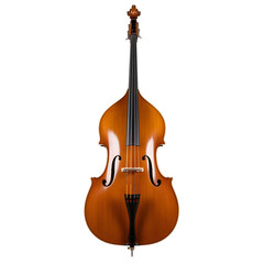 Fototapeta premium An upright light brown double bass on white or transparent background displaying its fholes bridge and tuning pegs clearly