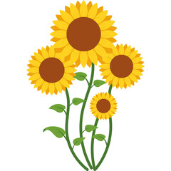 Fototapeta premium Beautiful Sunflower Vector
