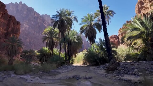 Wadi Al disah Saudi Arabia Deserts canyon Middle East exotic nature landscape 