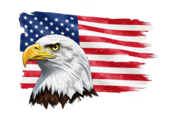 Majestic bald eagle and distressed american flag isolated on transparent background