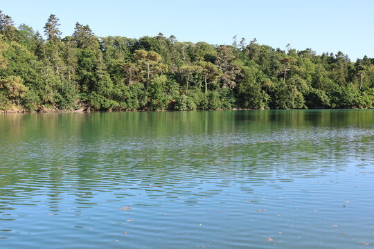Ria de Merrien &agrave; Mo&euml;lan-sur-Mer (Bretagne, Finist&egrave;re sud, France)